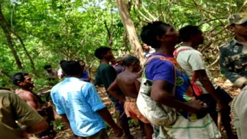 Armed poachers attack forest staff