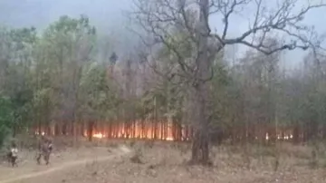 Odisha loses more forests to fire than it adds!