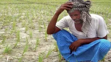 Odisha Farmers quitting farming in a big way: Economic Survey 2019