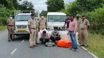 Ganja Worth Rs 30 Lakh Seized In Odisha, Two Arrested