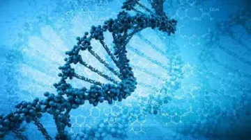 Your genes may determine how marriage will fare: Study