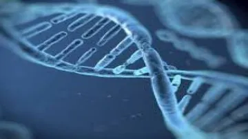 Do genes control intolerance and anti-social behaviour?