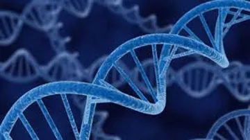 6,500 genes expressed differently in men and women: Study