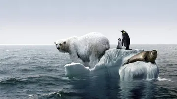 Why half a degree change in global warming matters