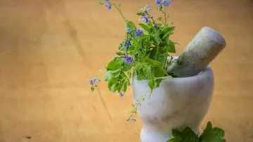 Health tips: Best medicinal herbs for longer life