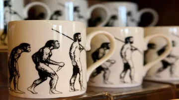Homo sapiens emerged 350,000 years ago: Study