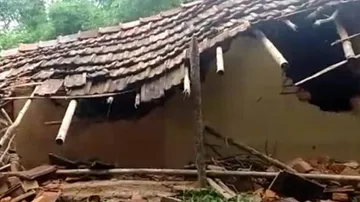 Panic Grips Locals After Elephants Stray Into Human Settlement In Mayurbhanj