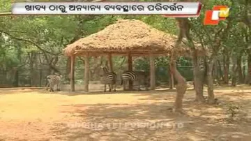 Heat wave: Nandankanan Zoo staff take care of wild animals
