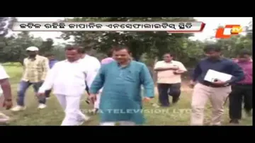Health Min, Secy review JE situation in Malkangiri