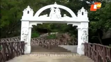 Two women trampled to death by elephant