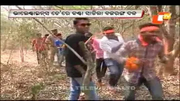 Radicals spoil V-day celebration