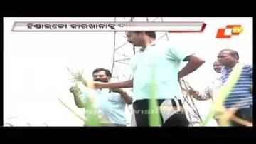 Fluoride gas of Hindalco plant destroys vast patches of paddy crop