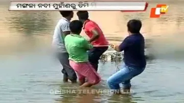 Another whale carcass found at Mangala river mouth