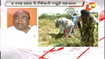 Drought-hit farmers left in lurch due to delay in submitting Honorary Certificate
