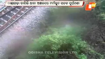 3 killed, 1 injured after bike falls off bridge