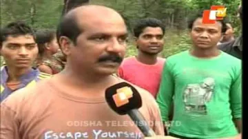 Elephants stray into Rourkela city, damage houses