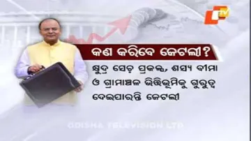 Union Budget: Odisha leaders expect more allocation for farmers, agri sector