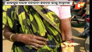 4 injured in wild bear attack in Jajpur town