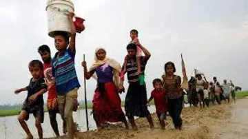 UN appeals for $430mn in aid to tackle Rohingya crisis