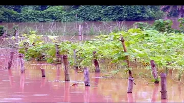 Normalcy eludes people in flood-hit Jajpur district