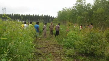 Heartbreaking! Toddler found crying alone near dead mother in forest
