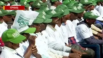 No KALIA Assistance For Rabi Crop 2019: Odisha Govt's U-Turn Pinches Farmers Hard