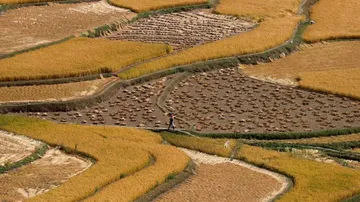 Centre Paves Way For All Indians To Buy Land In J&K