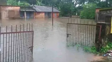 Weather Alert: Odisha to experience more rain in next 24 hours