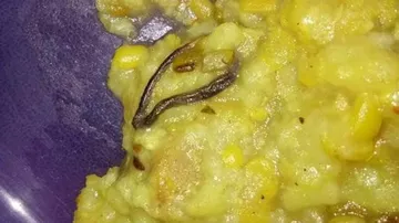 School serves students khichdi with snake in Maharashtra
