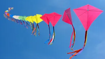 Odisha: CMC Bans Chinese Manja, Glass Coated Strings For Kites This Makar Sankranti