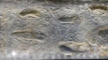 5.7 million years old human-like footprints found in Greece