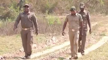 Another leopard 'spotted' in Bhubaneswar!