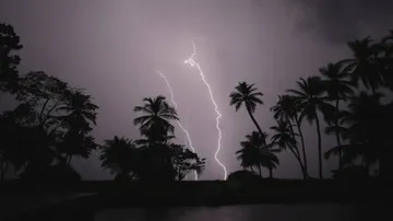 Nine killed in lightning across Odisha