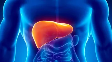 'Lab-grown liver' raises hopes for acute liver failure patients