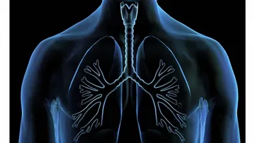 Zinc supply to lung cells linked to respiratory diseases