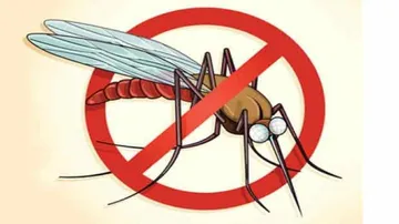 India biggest success story among malaria-endemic countries