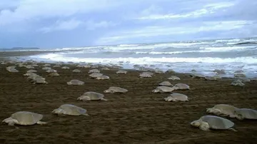 10 fishermen held for sneaking into Marine Sanctuary