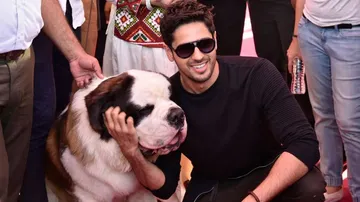 Sidharth Malhotra urges Modi to strengthen animal protection laws