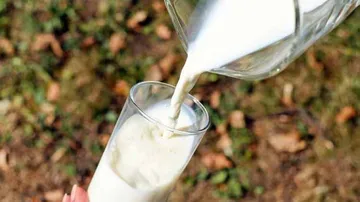 Adding vanilla makes milkshake seem sweeter