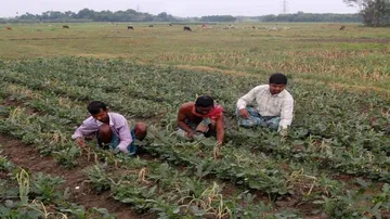 Odisha distributed 59,282 mobile phones free among farmers
