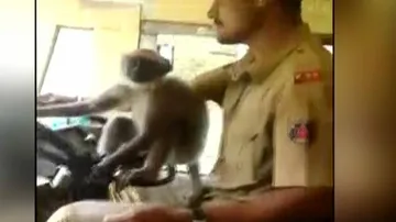 Jay Panda compares political party in Odisha with monkey driving bus-incident in Karnataka