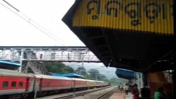 Train services disrupted as trees fall on rail tracks