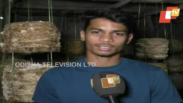 Earning While Learning: Odisha Student's Tryst With Entrepreneurship In Mushroom Farming