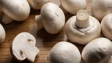 Mushrooms may prevent cognitive decline in elderly