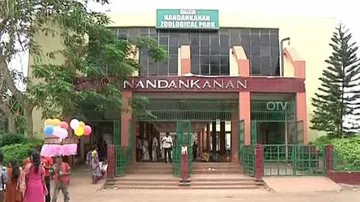 White Tiger 'Subhranshu' dies at Nandankanan Zoo