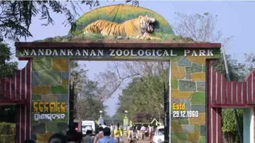 Nandankanan Zoo authorities help animals beat winter blues