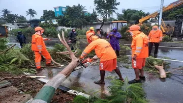 Watch: Cyclone Nivar Wreaks Havoc In TN, Puducherry