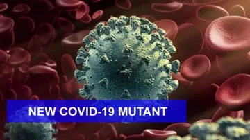 UK COVID Variant: Mutant Found In 4 Delhiites