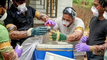 Kerala youth tests positive for Nipah: Minister