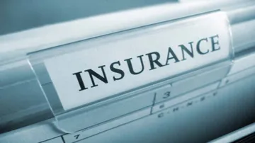 Non-life insurers' premium income grows over 33% in February